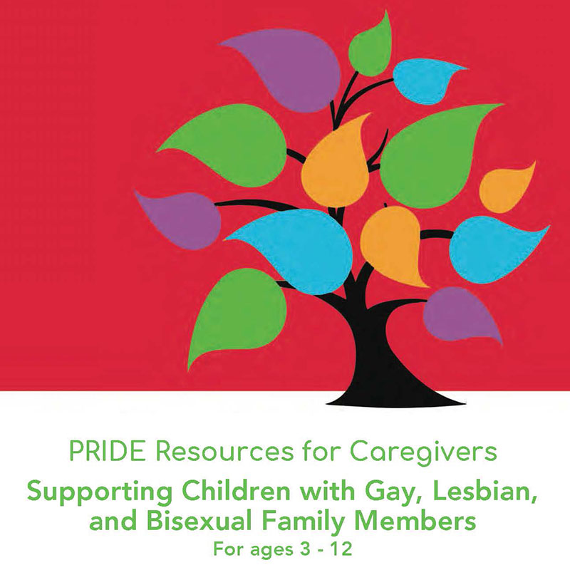 book-set-supporting-children-with-lesbian-gay-and-bisexual-family