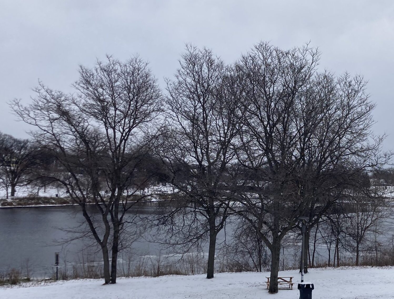 A group of trees in the snow that have lost their leaves in the foreground of a lake beginning to freeze