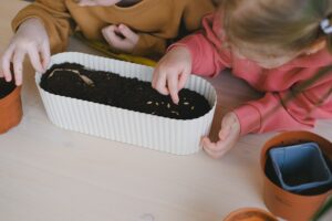 Two children's hands planting seeds in a small white planter